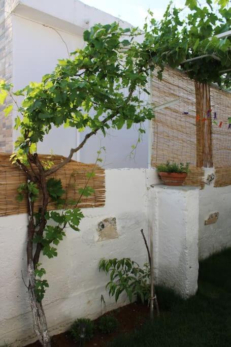 Mantra1 Villa Sozopoli Exterior foto